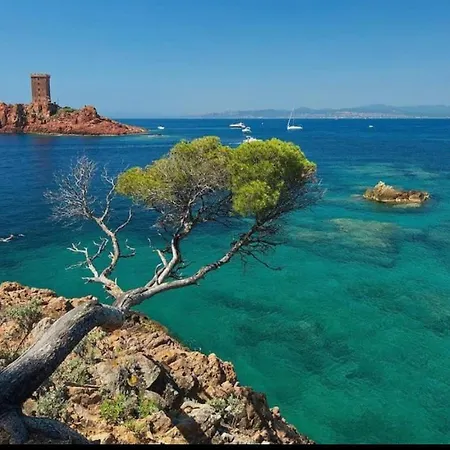Dans Residence, Piscine Lagon, Tennis Et Aire De Jeux * Fréjus